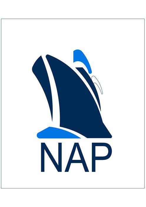 NAP ENGINEERING LOGO.jpg